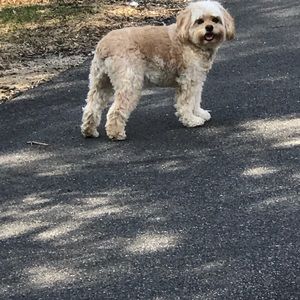 Meet your Posher, Monicah